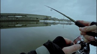 Весовой окунь на Москве Реке – Fishing Today