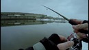 Весовой окунь на Москве Реке – Fishing Today