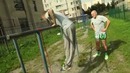 Боевые ботаники. Street workout для бойца