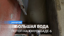 Полно воды. 6-квартал Юнусабада снова затопило