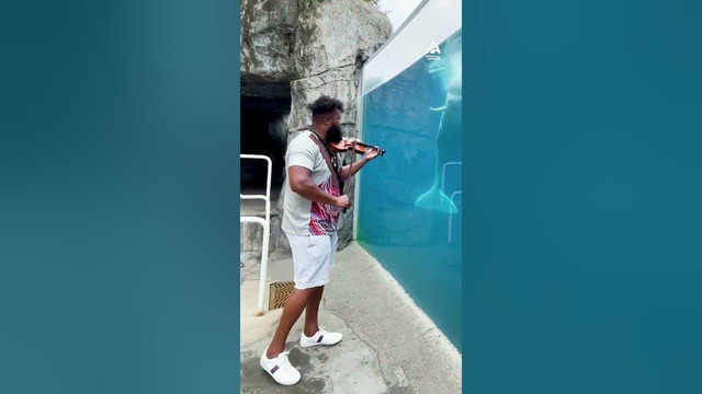 Man Plays Violin For Whale At Aquarium | People Are Awesome #shorts