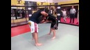 Ronda Rousey Vs Gegard Mousasi (Sparring)