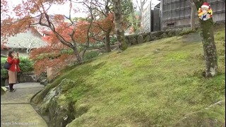 Настоящая Японская Осень. Kouyou – Цвета Осенних Листьев