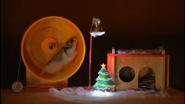 Хомяк вырабатывает электричество