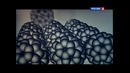 Наука 2.0. Большой скачок. Самый важный элемент. Углерод
