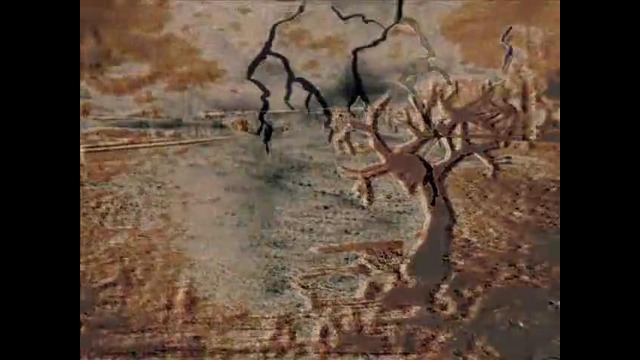 Среда обитания. Метаморфозы. Видео-арт