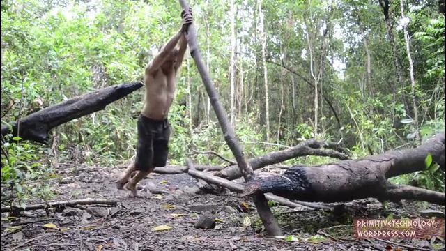 Primitive Technology Planting: Cassava and Yams