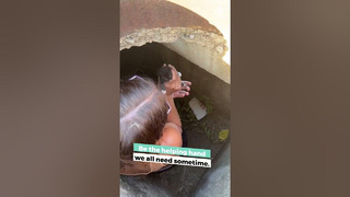 Guy Rescues Cat Out of Storm Drain | People Are Awesome #rescue #shorts #peopleareawesome
