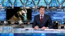 Одна собака – сдала- другую, устроившую беспорядок
