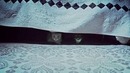 Котята на страже
