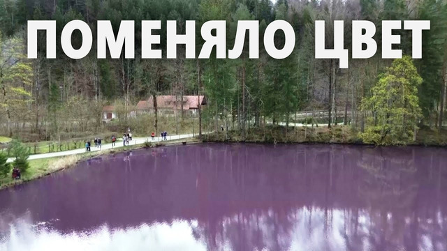 В Баварии появилось фиолетовое озеро