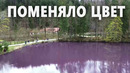 В Баварии появилось фиолетовое озеро
