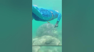 Смертельная медуза