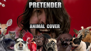 Foo Fighters – Pretender (Animal Cover)