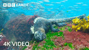 A Perfect Planet Narrated By Sir David Attenborough | 4K UHD | BBC Earth
