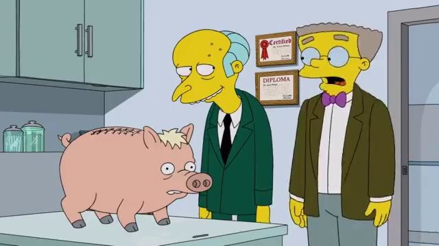 The Simpsons 28 сезон 11 серия («Свинина и Бернс»)