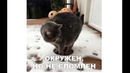 Лютые приколы. Ванна Кока-Колы. СПАСИБО ЖЭК
