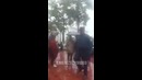 Toshkentda daraxt qulab, yettita mashinani bosib qoldi