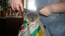 Лютые стрижки котов. Кот ПАНК и КОТ ЧЕЛОВЕК