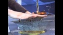 Резонанс китайская чаша