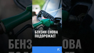 В Казахстане планируют увеличить стоимость бензина для иностранцев #казахстан #бензин #узбекистан