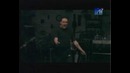 PAPA ROACH (Between angels & insects)