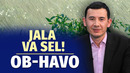 Beqaror hafta