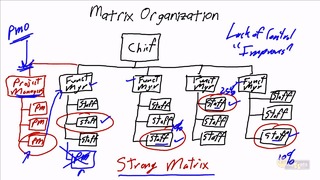 PMP 5th. Lesson 6/30. Project Organizational Structures
