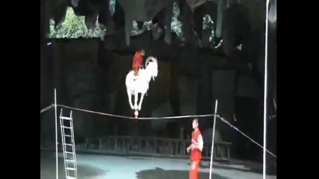 Чудеса китайского цирка
