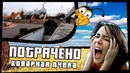 Коварная пчела | ПОТРАЧЕНО