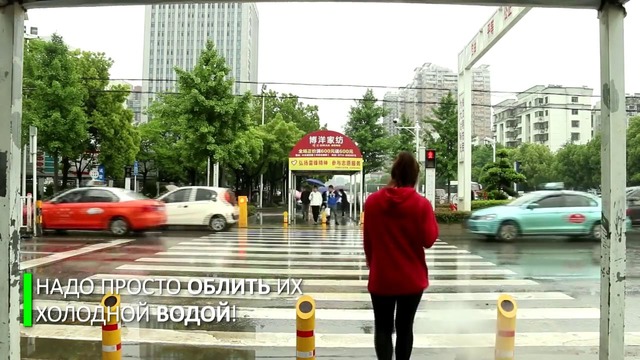 Просто добавь воды: как в Китае отучают пешеходов нарушать правила