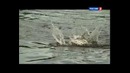 Красота нахлыста (Истинный рыбак это поймет)