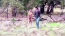 Кенгуру против человека. Часть 1