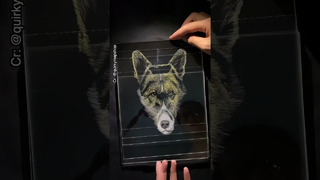 3D pet portrait #wowchallenge