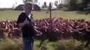 То чувство как будто ты на сцене