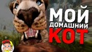 Приколы в FarCry Primal / Конопатый соло 7