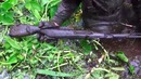 Автомат в руках у погибшего сержанта Раскопки Второй мировой N 65 – Searching re