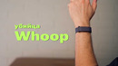 Google Fitbit Air – убийца Whoop