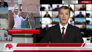 HOBOSTI – В России выброшена последняя новогодняя елка