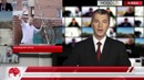 HOBOSTI – В России выброшена последняя новогодняя елка