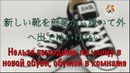 Япония. 5 самых популярных японских примет