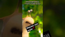 Кино #фильмы #фильм #movie #прикол #мем #чтопосмотреть #новыефильмы #мультик #мультфильм #epic