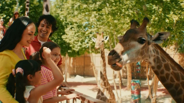 Magic Safari