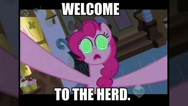 Know Your Meme: My Little Pony – англ