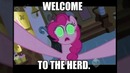 Know Your Meme: My Little Pony – англ