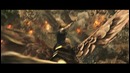 Warcraft – Официальный трейлер