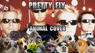 The Offspring – Pretty Fly (Animal Cover)