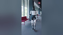 Робот-гуманоид Tesla Optimus гуляет по заводу Tesla #proроботов #robot #tesla #optimus #илонмаск