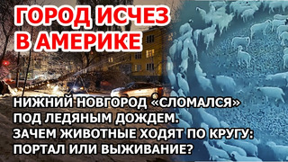 Город пропал в Америке. В США туман стер Майами. Зачем животные ходят по кругу? Портал или выживание