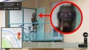10 Странных Открытий на Картах Google